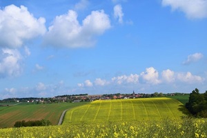 stahlberg-weinberge