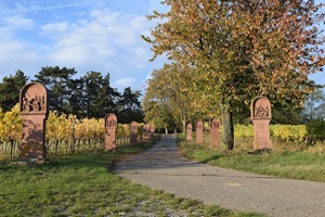 auf-dem-weg-zum-stahlberg